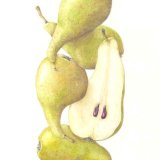 pears
