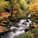 Ballaglass in Autumn