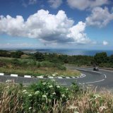 The Gooseneck