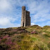 Milner's Tower Landscape
