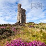 Milner's Tower Portrait