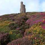 Milner's Tower