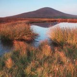 South Barrule (landscape)
