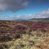 View from Windy Corner