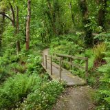 Glen Maye Bridge