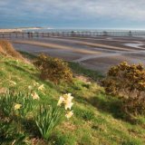 Low Tide Ramsey Bay
