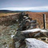 Frosty Wall