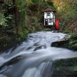 Groudle Glen Autumn