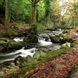 Ballaglass Autumn 2