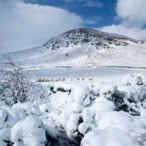 Snowy North Barrule