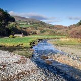 cornaa marsh