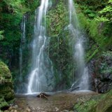Dhoon Waterfall