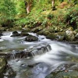 River In Ballaglass