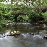 Tholt y Will Panoramic