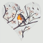 A ROBIN COMES VISITING (101)