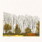 Autumn Trees