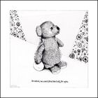 INTRODUCING BUNBURY BEAR