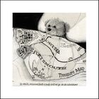 BUNBURY BEAR AND THE MAP