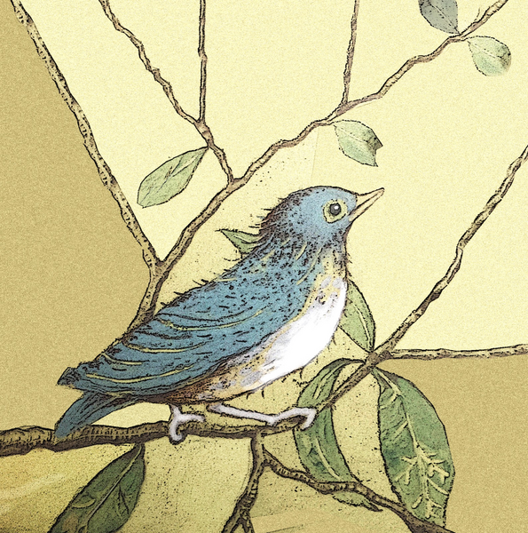 BIRD ON A BRANCH (24A)