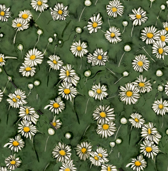 DAISIES (95)