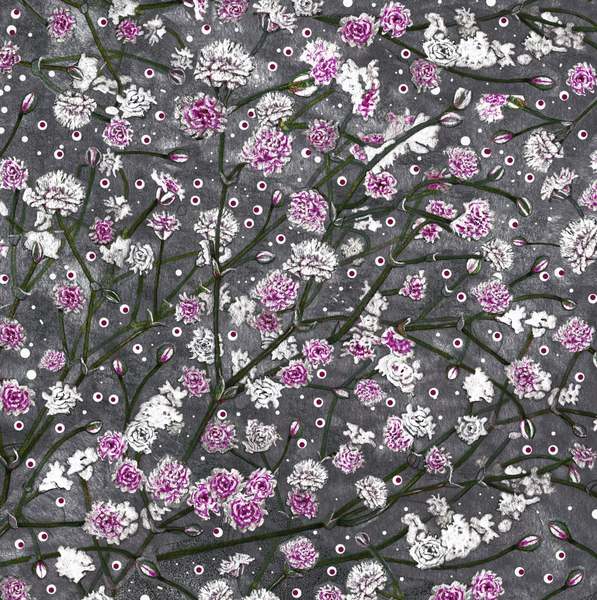 GYPSOPHILA (51)