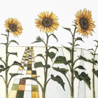 HAPPY SUNFLOWERS (88)