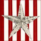 NEWSPAPER STAR (100)