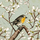 A ROBIN IN THE FLOWERS (94)