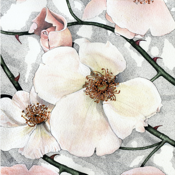 ROSES AND THORNS (54)