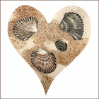 SEASHELLS (98)