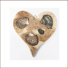SEA SHELLS