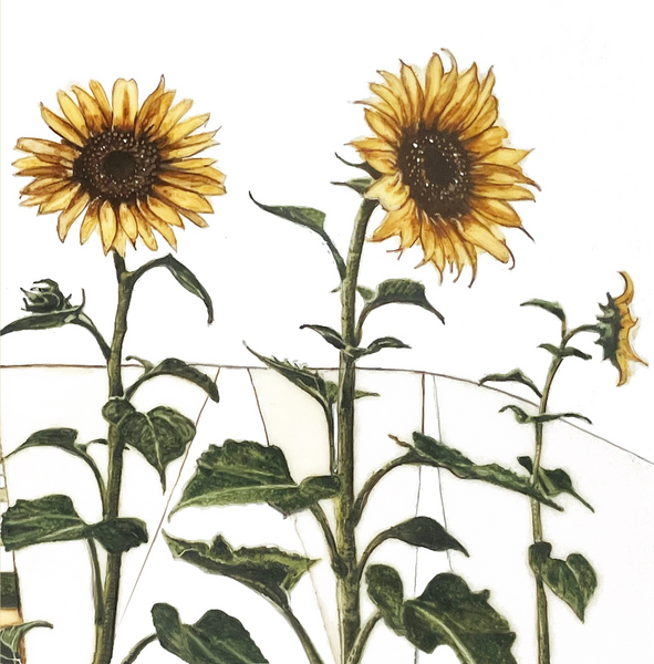 SUNFLOWERS (87)