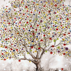 SPRING (S 3)