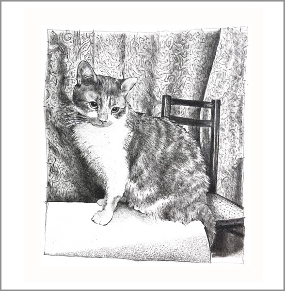 THE SITTING ROOM (71)