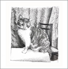THE SITTING ROOM (71)