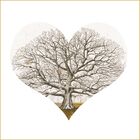 THE HEART OF THE TREE (V5)