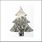 THE TREE AND THE WINTER PLANE