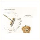 WHERE'S THAT SPIDER!?