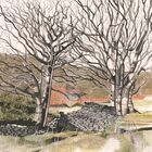 BRONLLAN (4)