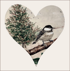 COAL TIT (84)