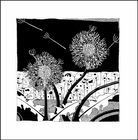 DANDELION PAIR IN THE NIGHT (11)