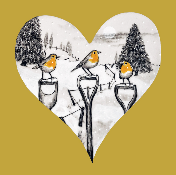 THREE ROBINS VISITING (C36)