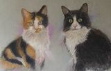 Mable and Queenie