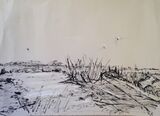 Boydon Marshes Ink Sketch