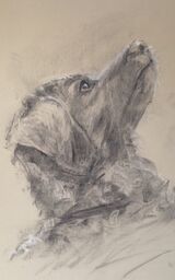 Commissioned Portraits