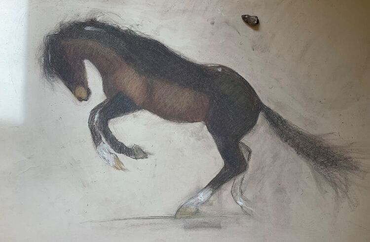 Horse