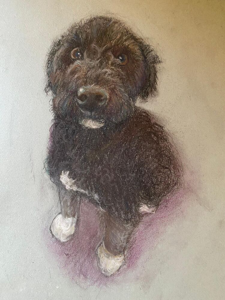 Alfie