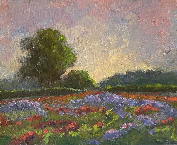No: 132. Red Clover and Phacelia (Long Melford)