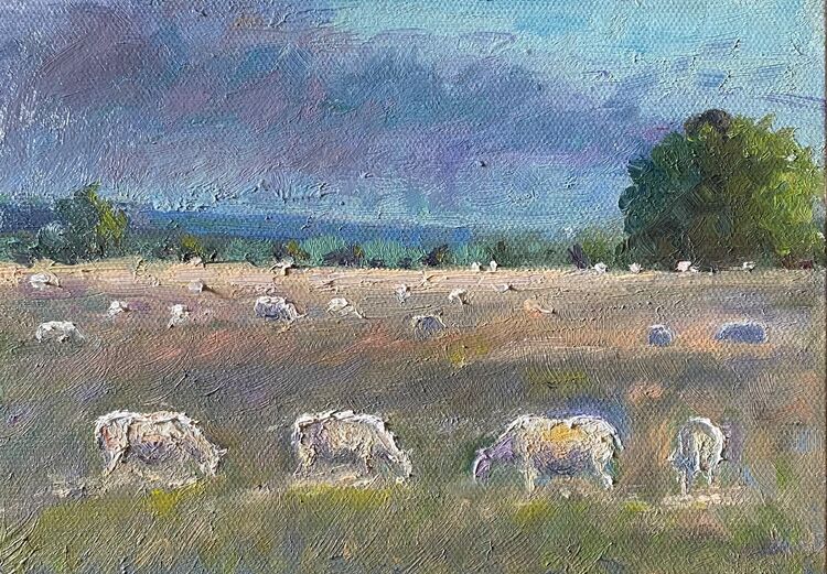 No 164. Sheep