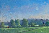 No: 166 Late Afternoon